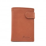 Cartera Hombre Modelo nº 3131