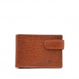 Cartera Hombre Modelo nº 5277